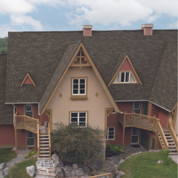 IKO Performance Shingle Dynasty (Color Driftshake)