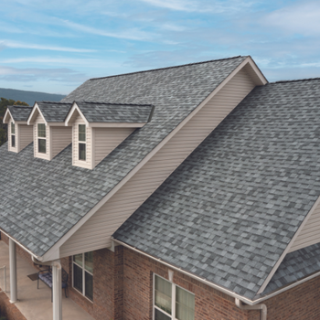 IKO Performance Shingle Dynasty (Color Frostone Grey)