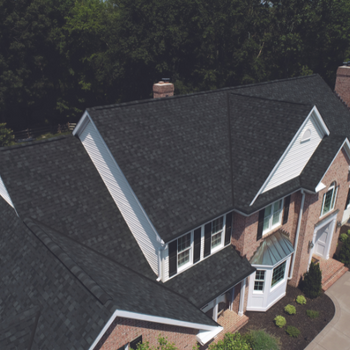 IKO Performance Shingle Dynasty (Color Granite Black)