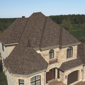IKO Performance Shingle Dynasty (Color Shadow Brown)